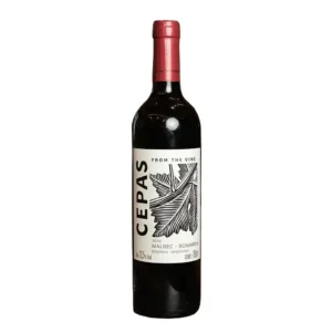 Vinho Cepas Malbec Bonarda Mendoza Argentina Casa das Massas Elis