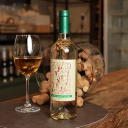Vinho Narración Sauvignon Blanc Chile Casa das Massas Elis